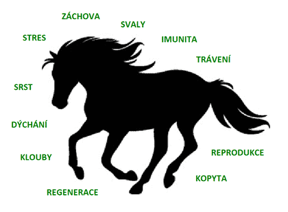 SPECIÁL. POŽADAVKY